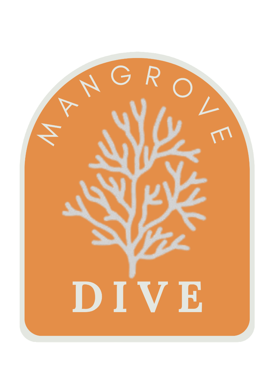 mangrove dive